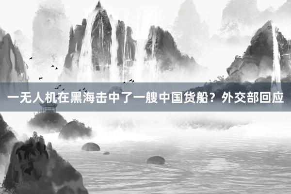 一无人机在黑海击中了一艘中国货船？外交部回应